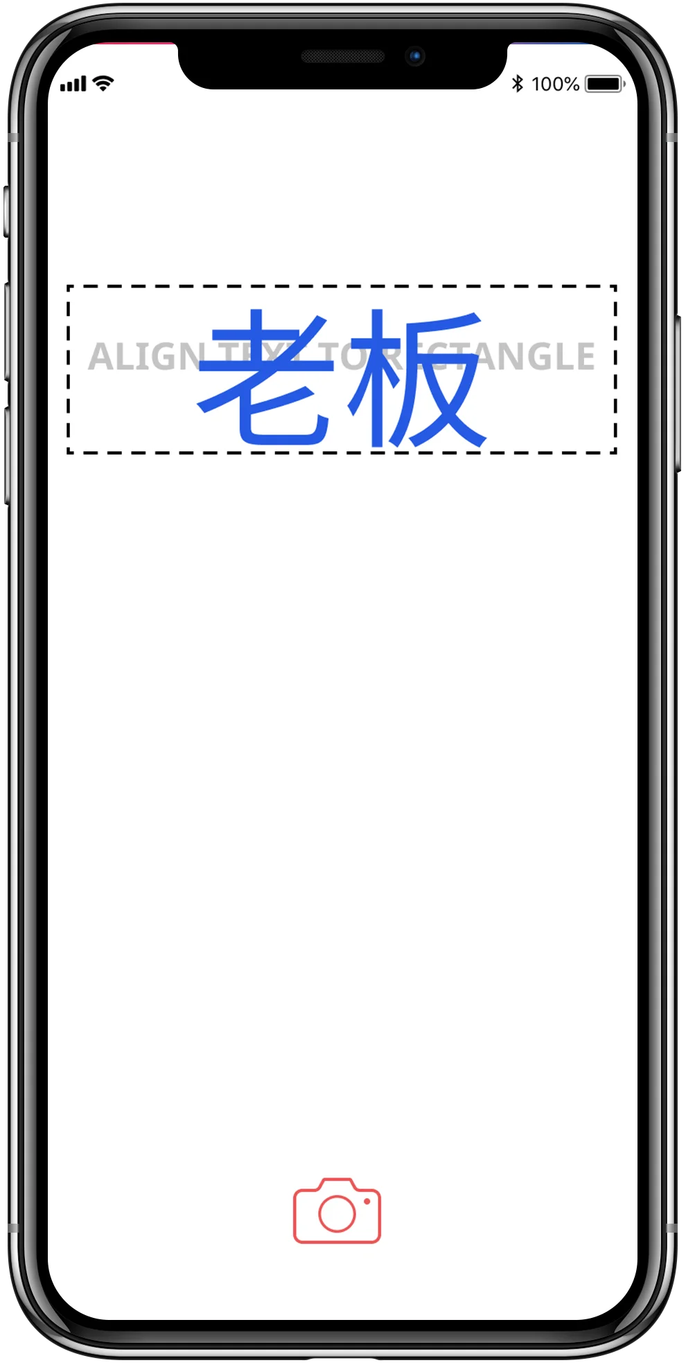 Camera screen with simulated Chinese text scan.