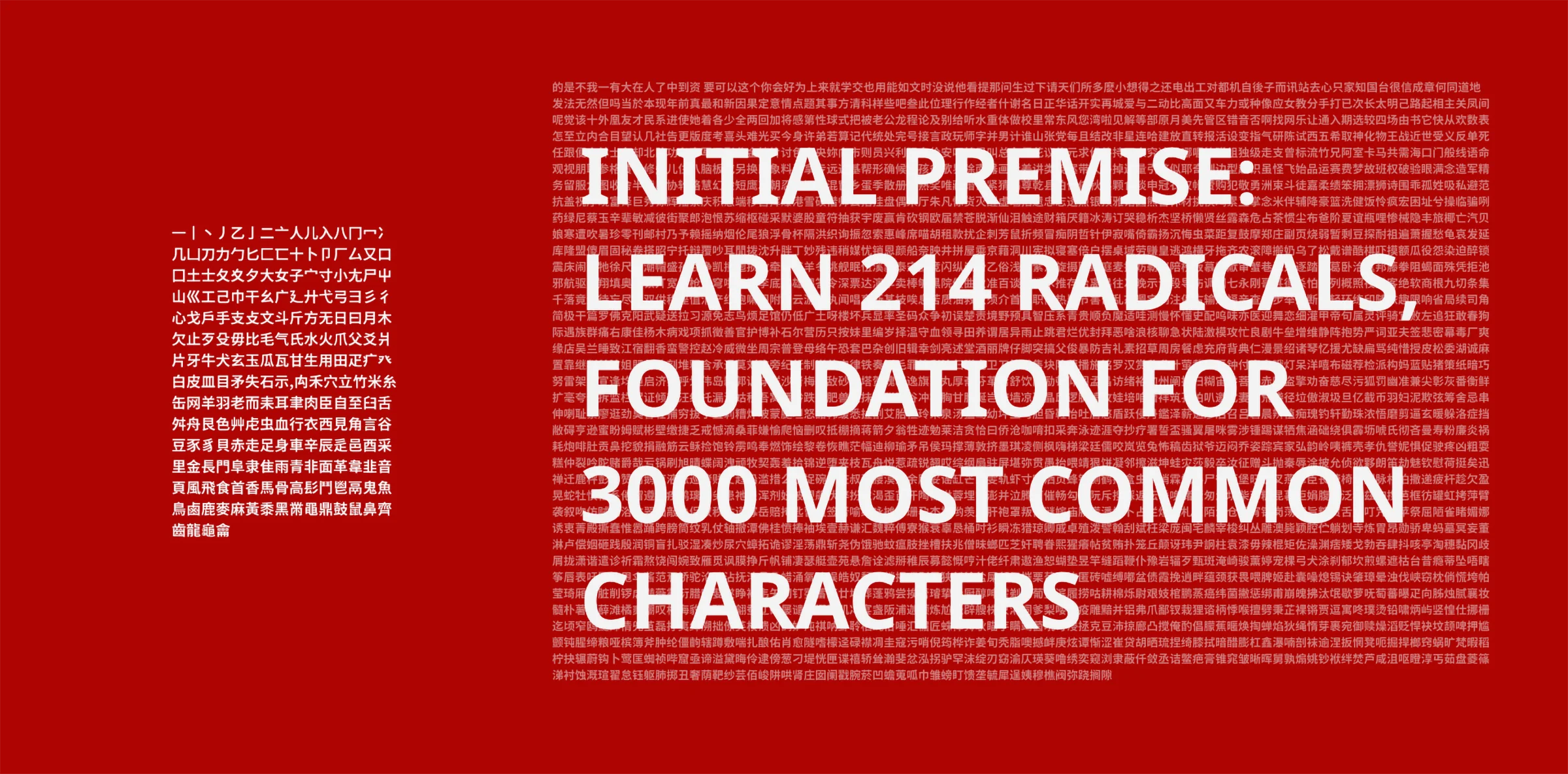 Initial premise: learn 214 radicals as foundation for 3000 most common characters.